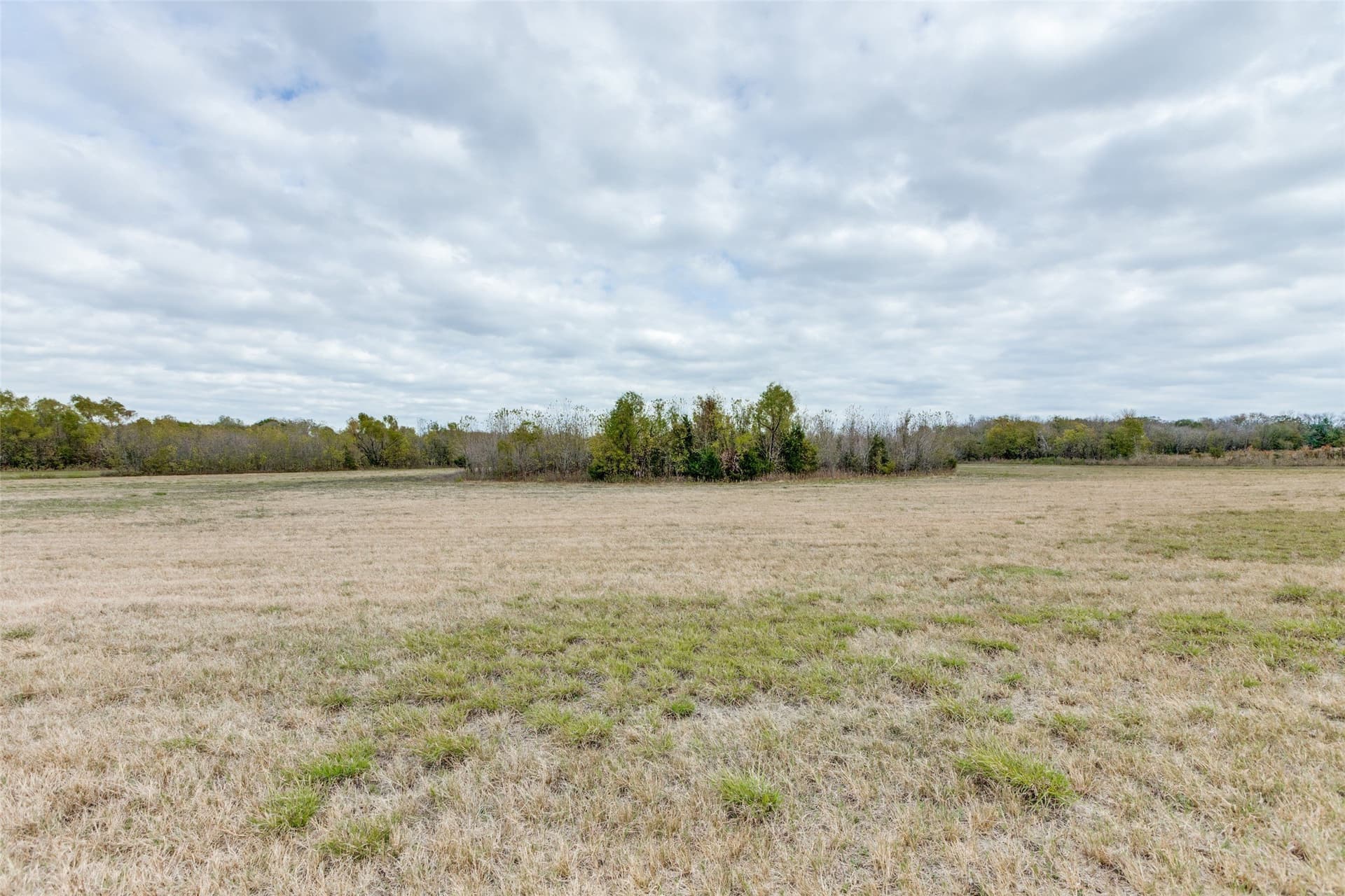 26 acres in Fannin County - photo 9