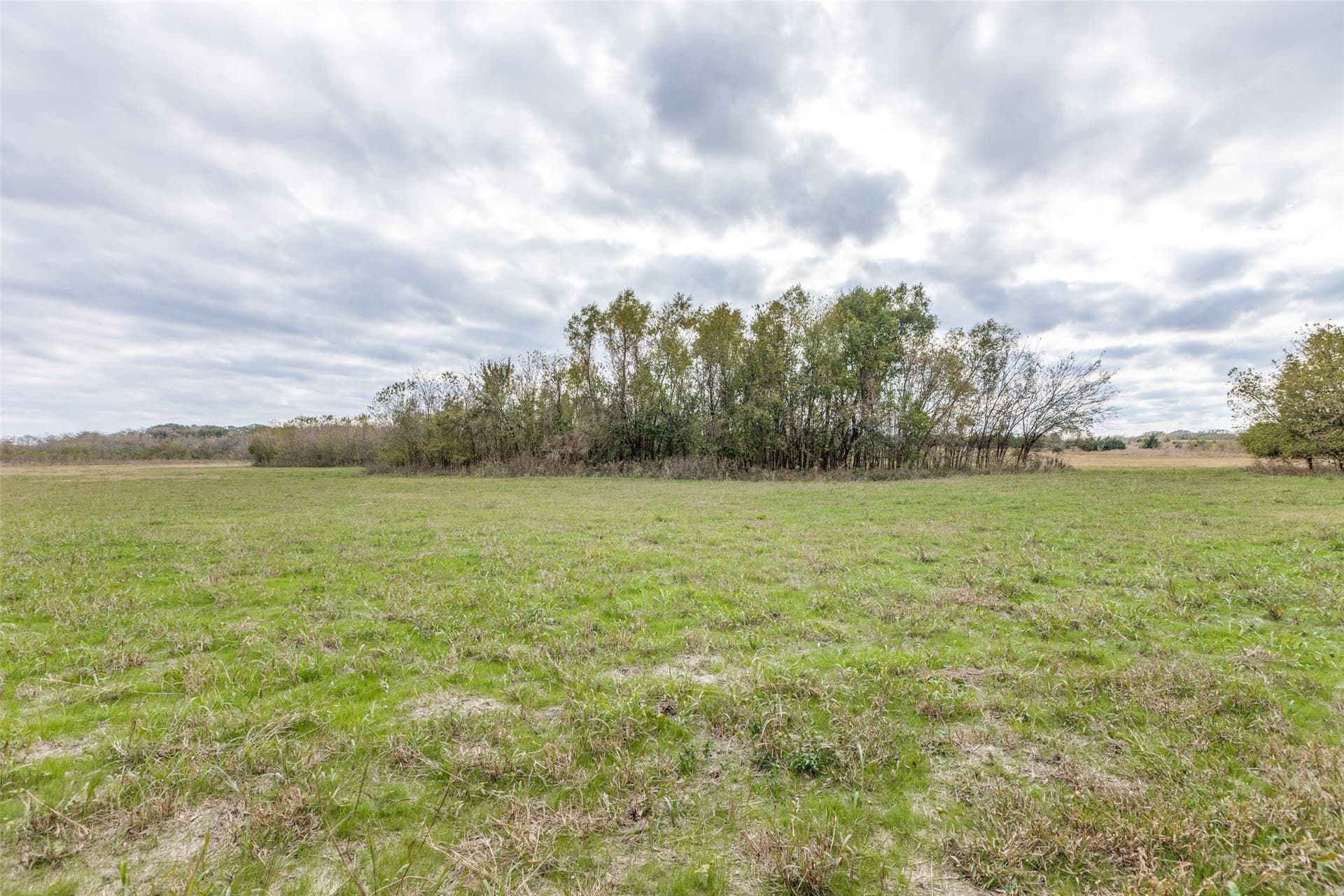 26 acres in Fannin County - photo 11