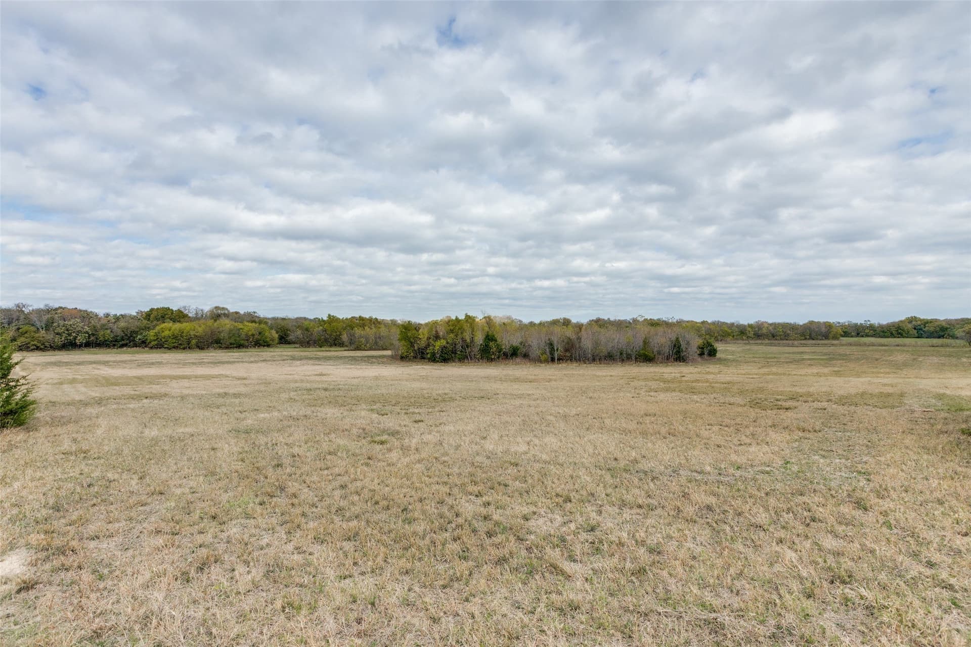 26 acres in Fannin County - photo 8