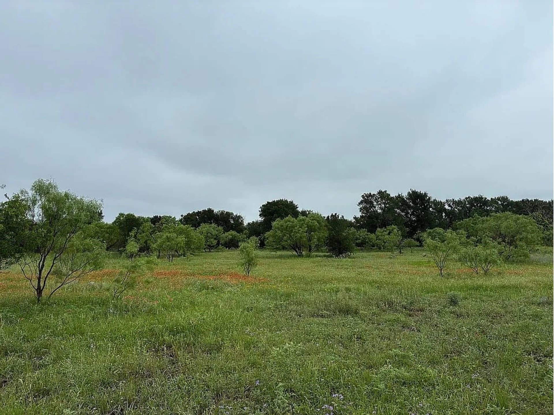 25 acres in Coleman County - photo 10