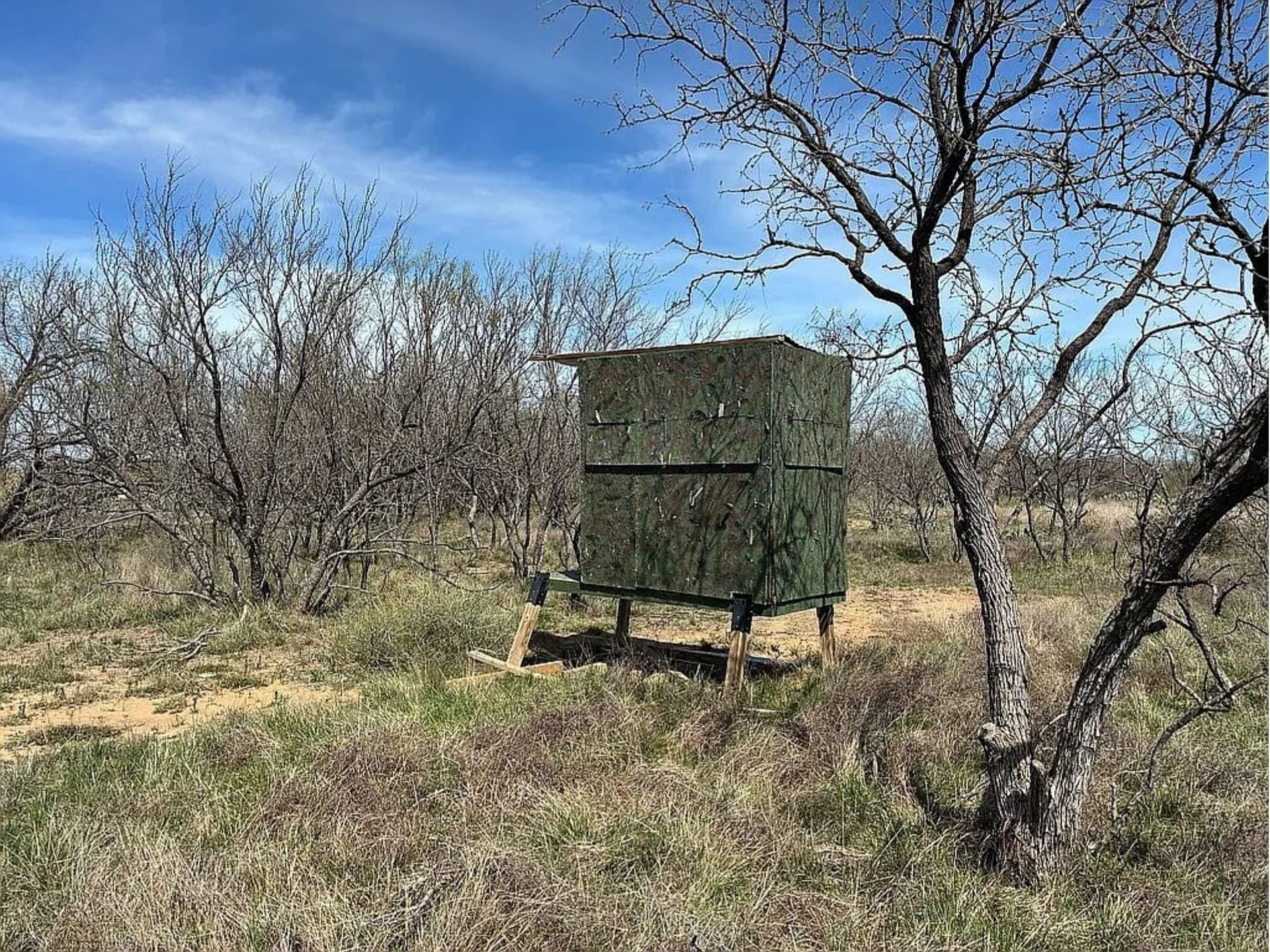 25 acres in Coleman County - photo 5