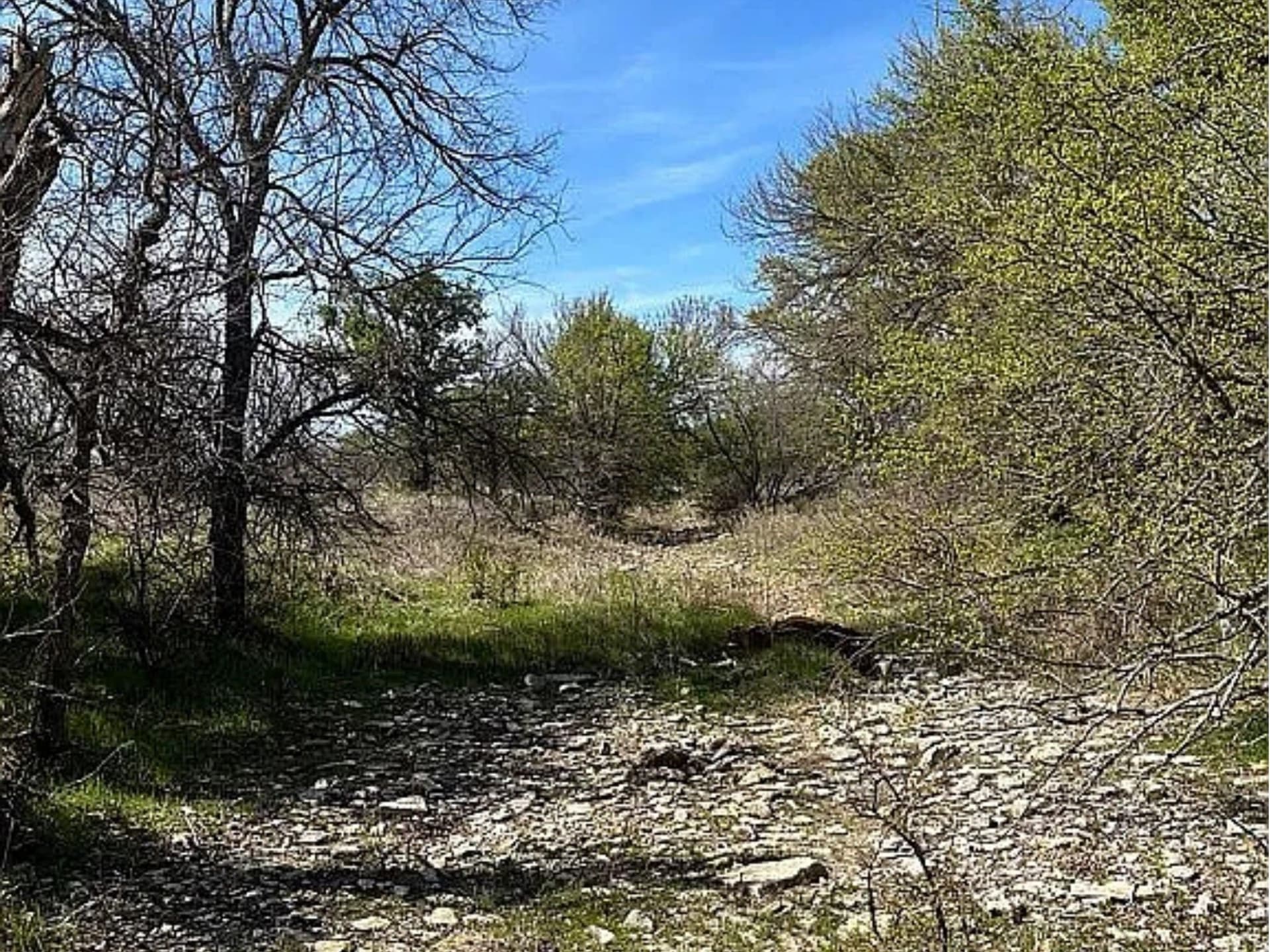 25 acres in Coleman County - photo 3