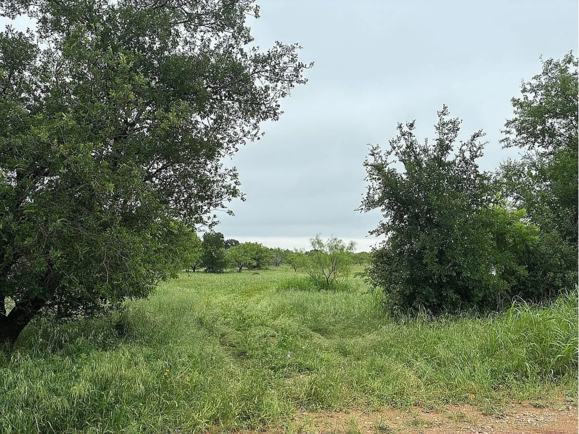 25 acres in Coleman County - photo 11