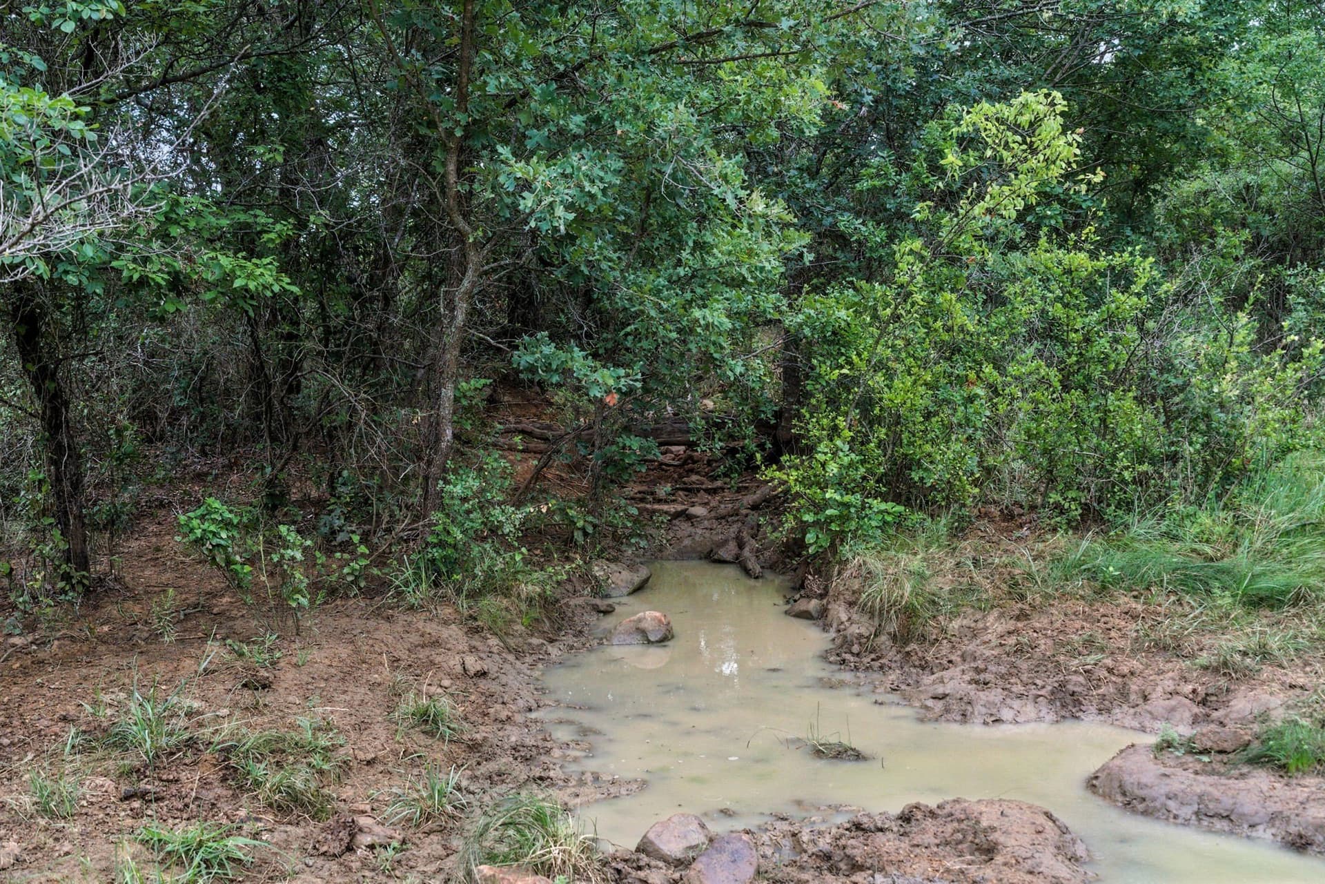 283 acres in Jack County - photo 16