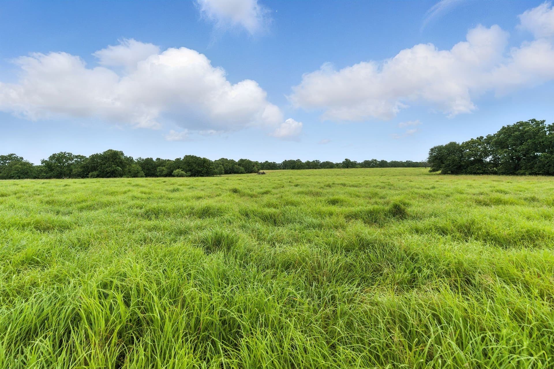 283 acres in Jack County - photo 8