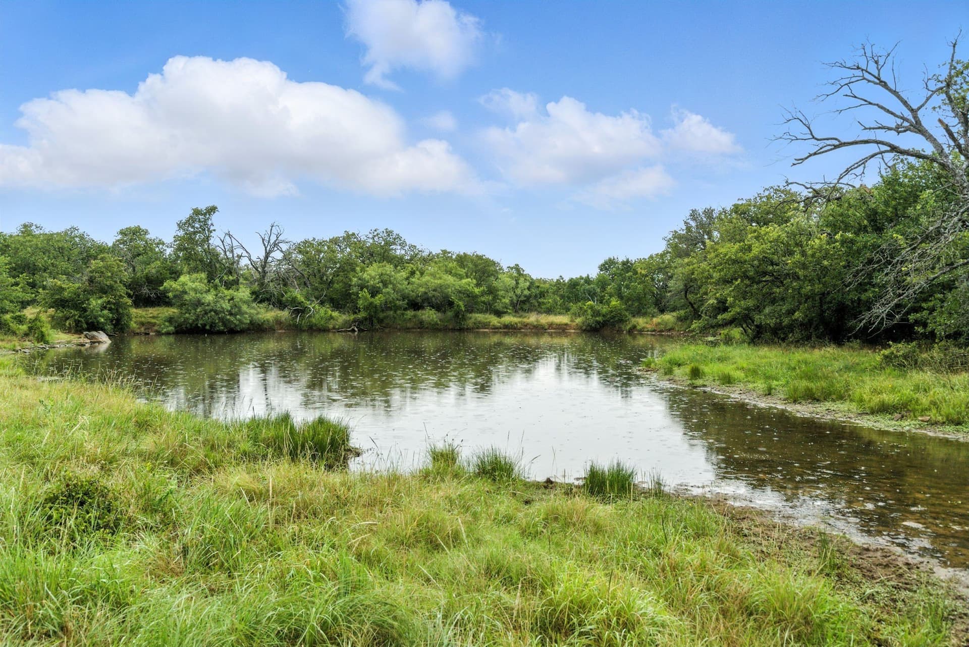 283 acres in Jack County - photo 17
