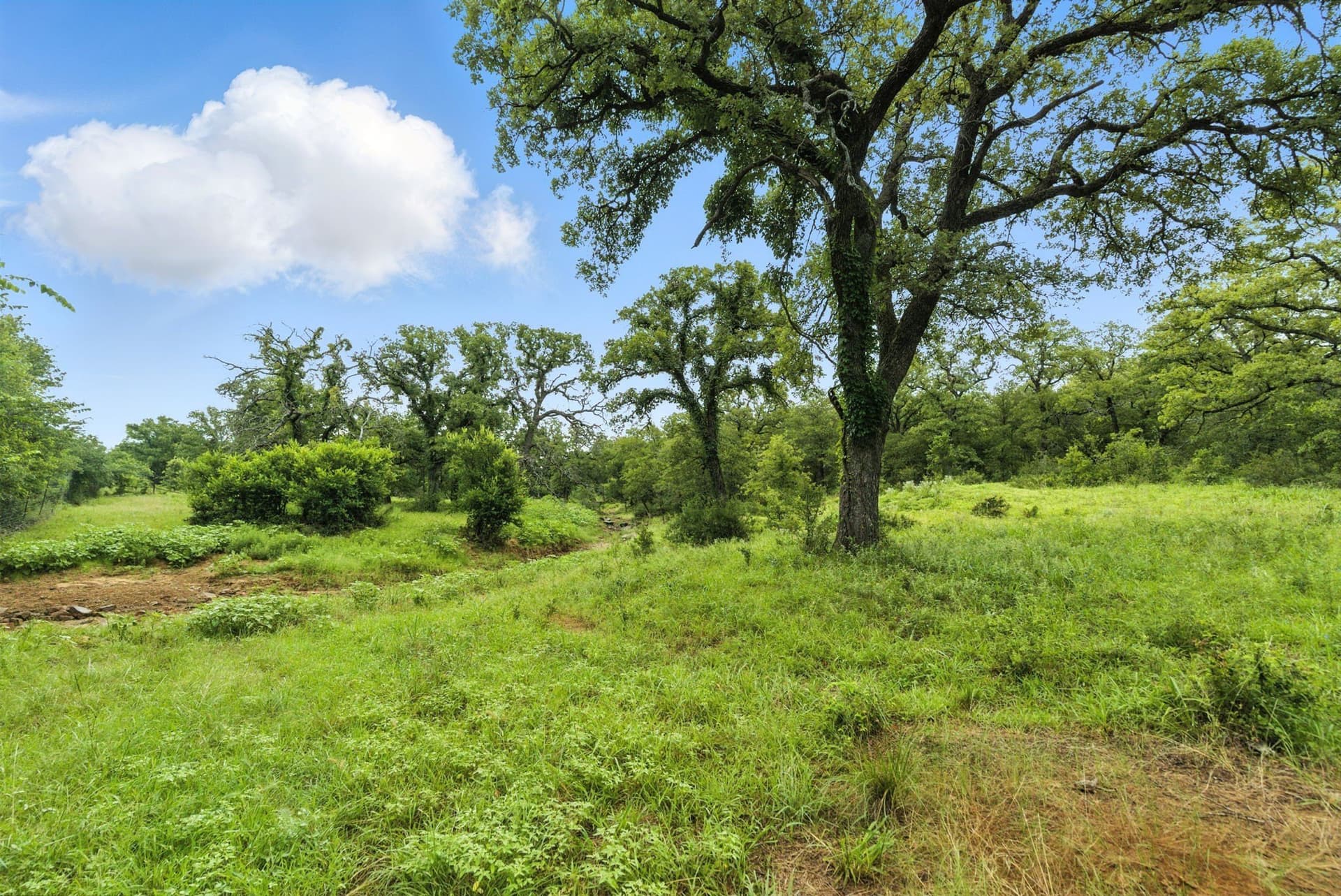 283 acres in Jack County - photo 13