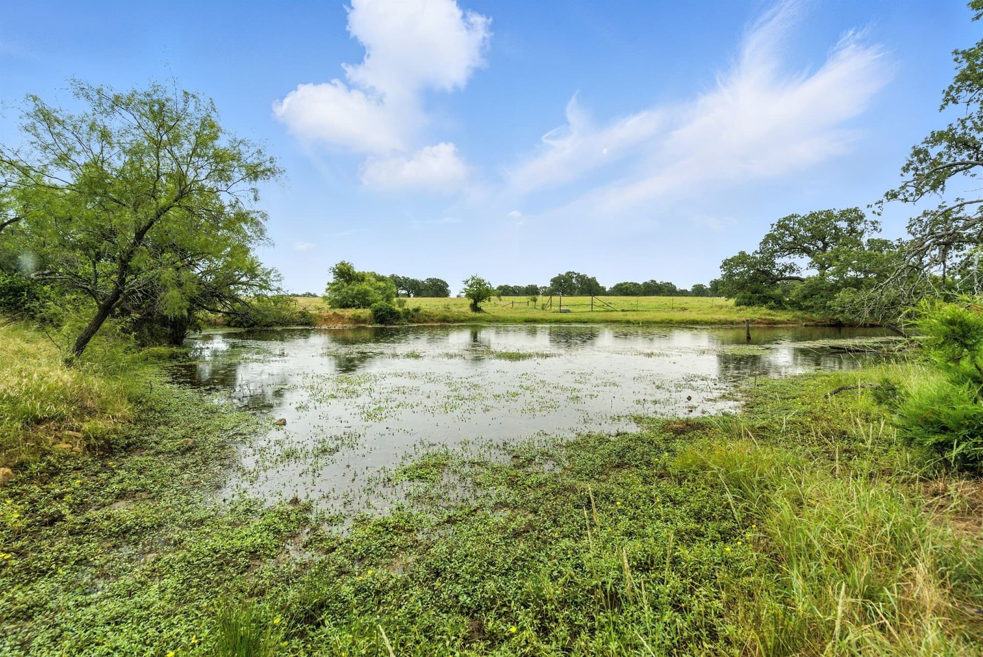 283 acres in Jack County - photo 14