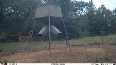 283 acres in Jack County - photo 6