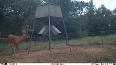 283 acres in Jack County featured view