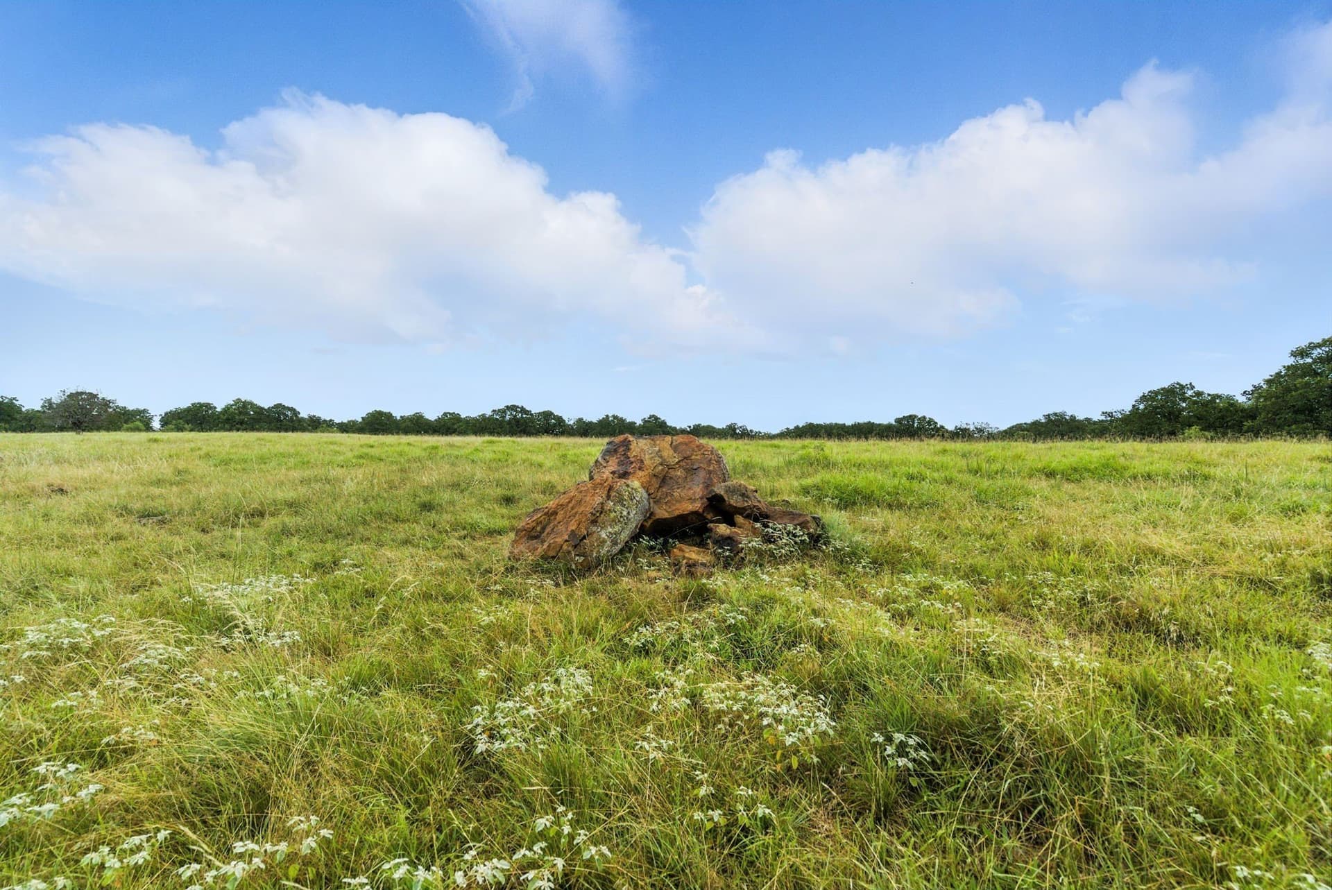 283 acres in Jack County - photo 9