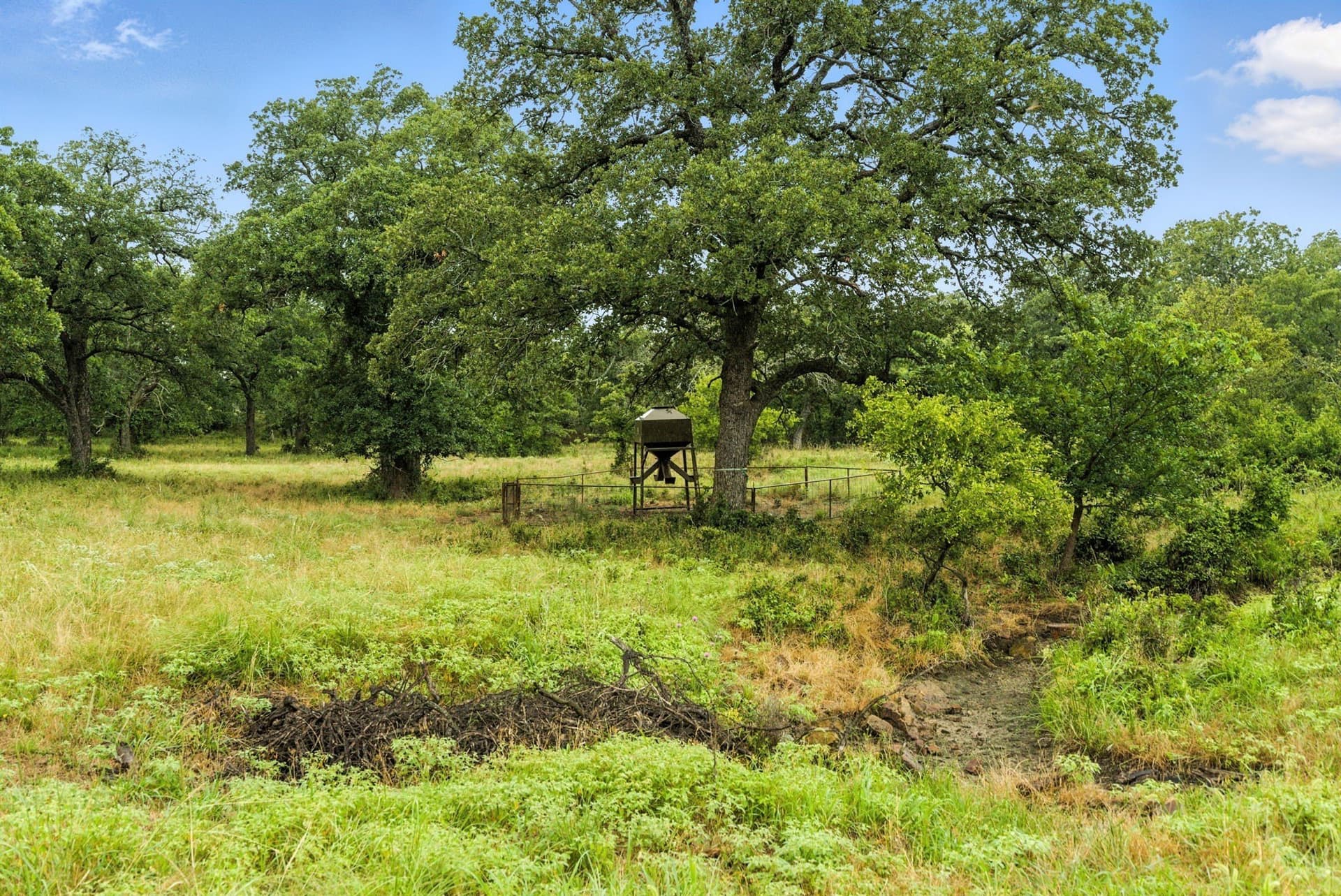 283 acres in Jack County - photo 20