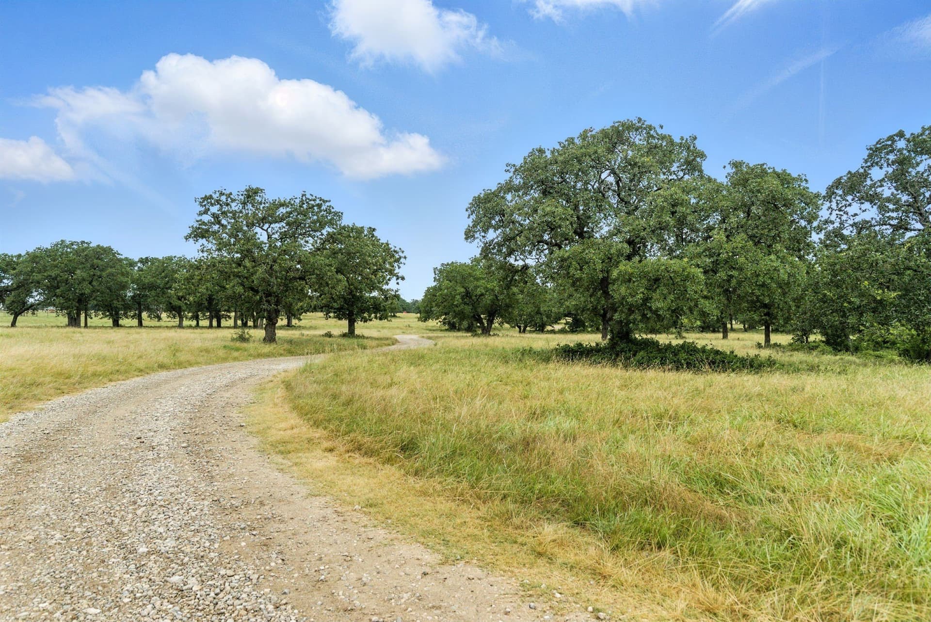 283 acres in Jack County gallery image 2