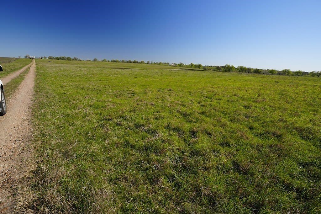 43.12 acres in Fayette County gallery image 4