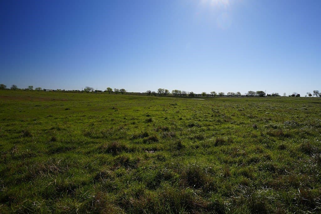 43.12 acres in Fayette County - photo 9