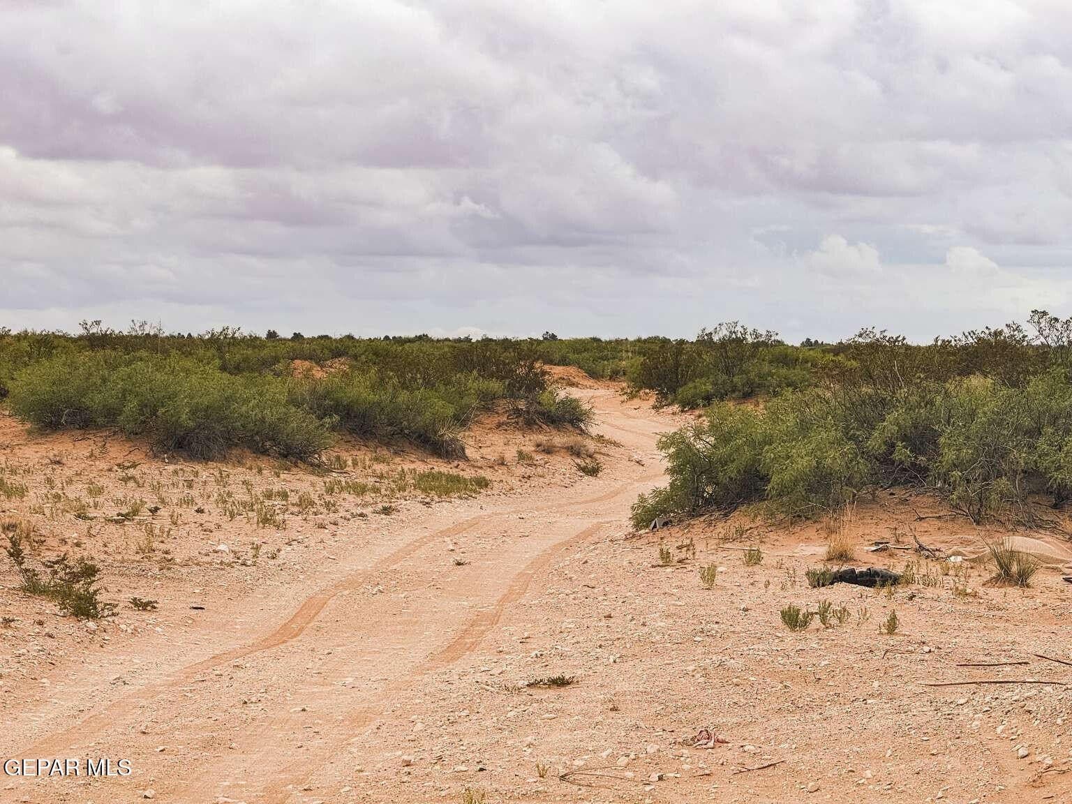0.5 acres in El Paso County - photo 32