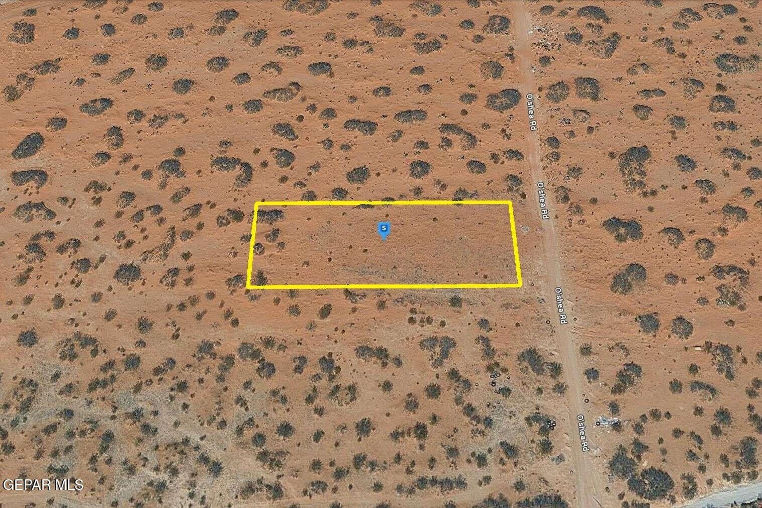 0.5 acres in El Paso County - photo 34