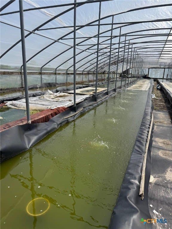 265.13 acres in Refugio County gallery image 3