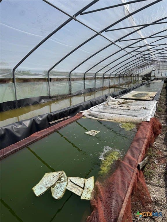 265.13 acres in Refugio County gallery image 2