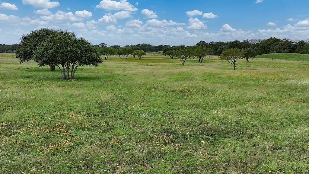 34.26 acres in Fayette County gallery image 4