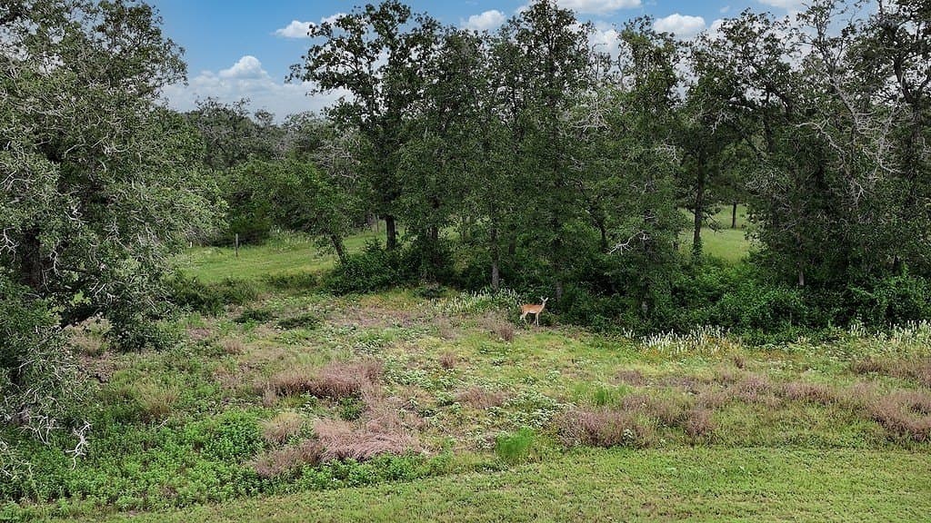 34.26 acres in Fayette County gallery image 3