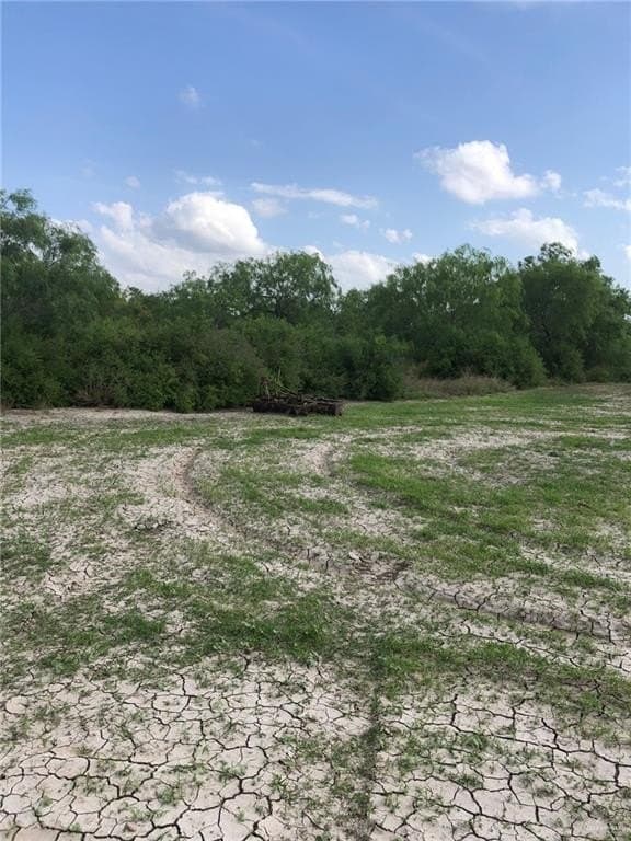 11.96 acres in Hidalgo County - photo 7