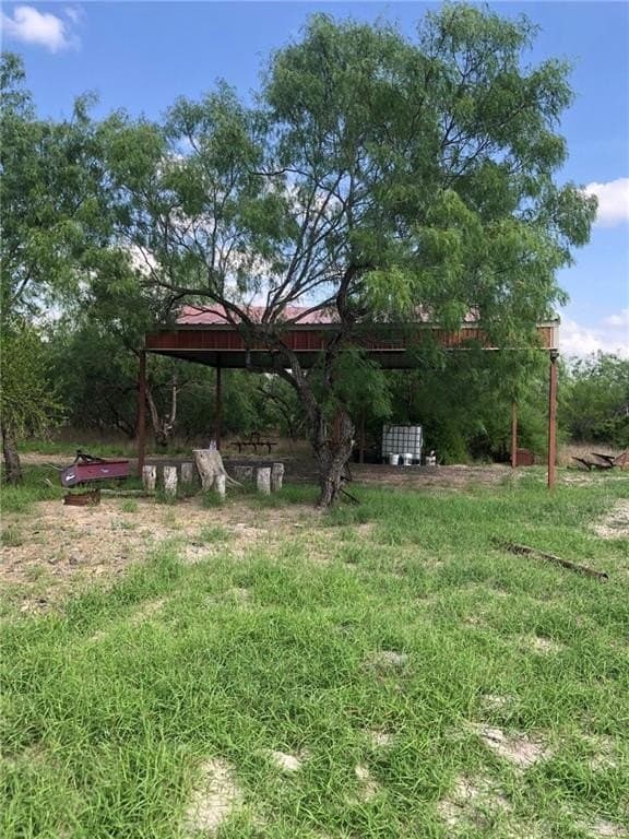 11.96 acres in Hidalgo County - photo 8