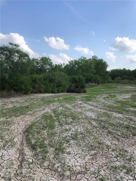 11.96 acres in Hidalgo County - photo 11