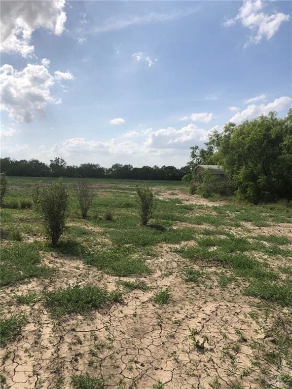 11.96 acres in Hidalgo County - photo 13