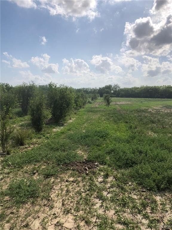 11.96 acres in Hidalgo County - photo 15