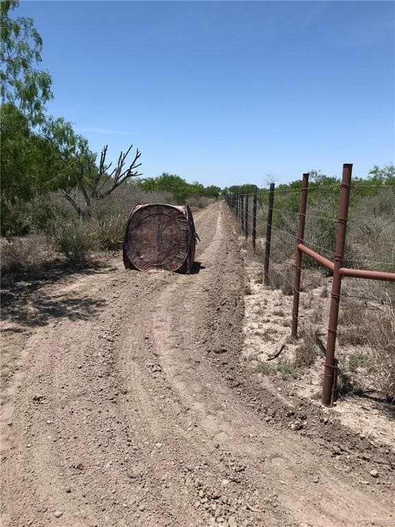 11.96 acres in Hidalgo County gallery image 3