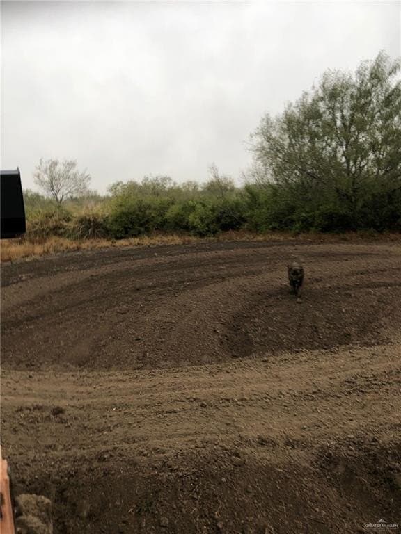 11.96 acres in Hidalgo County - photo 6