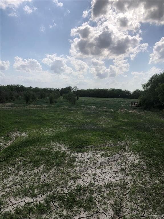 11.96 acres in Hidalgo County - photo 16