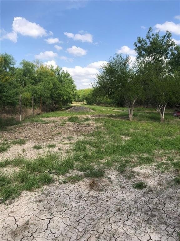 11.96 acres in Hidalgo County - photo 9