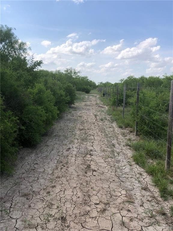 11.96 acres in Hidalgo County - photo 10