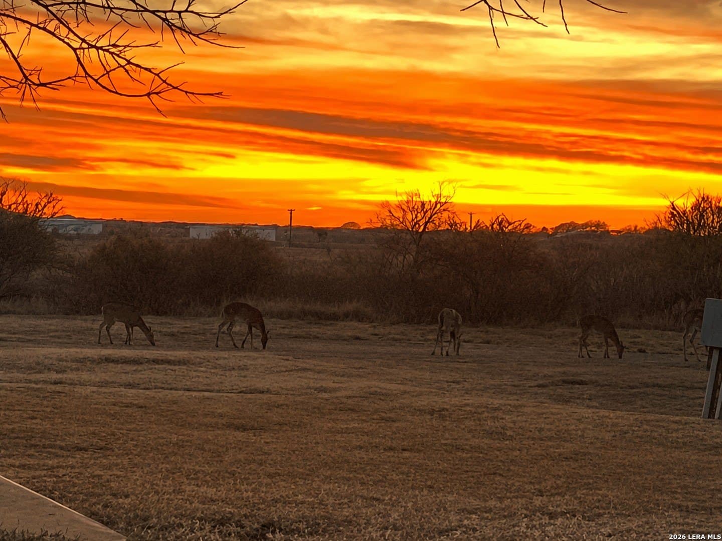 18.56 acres in Uvalde County - photo 27