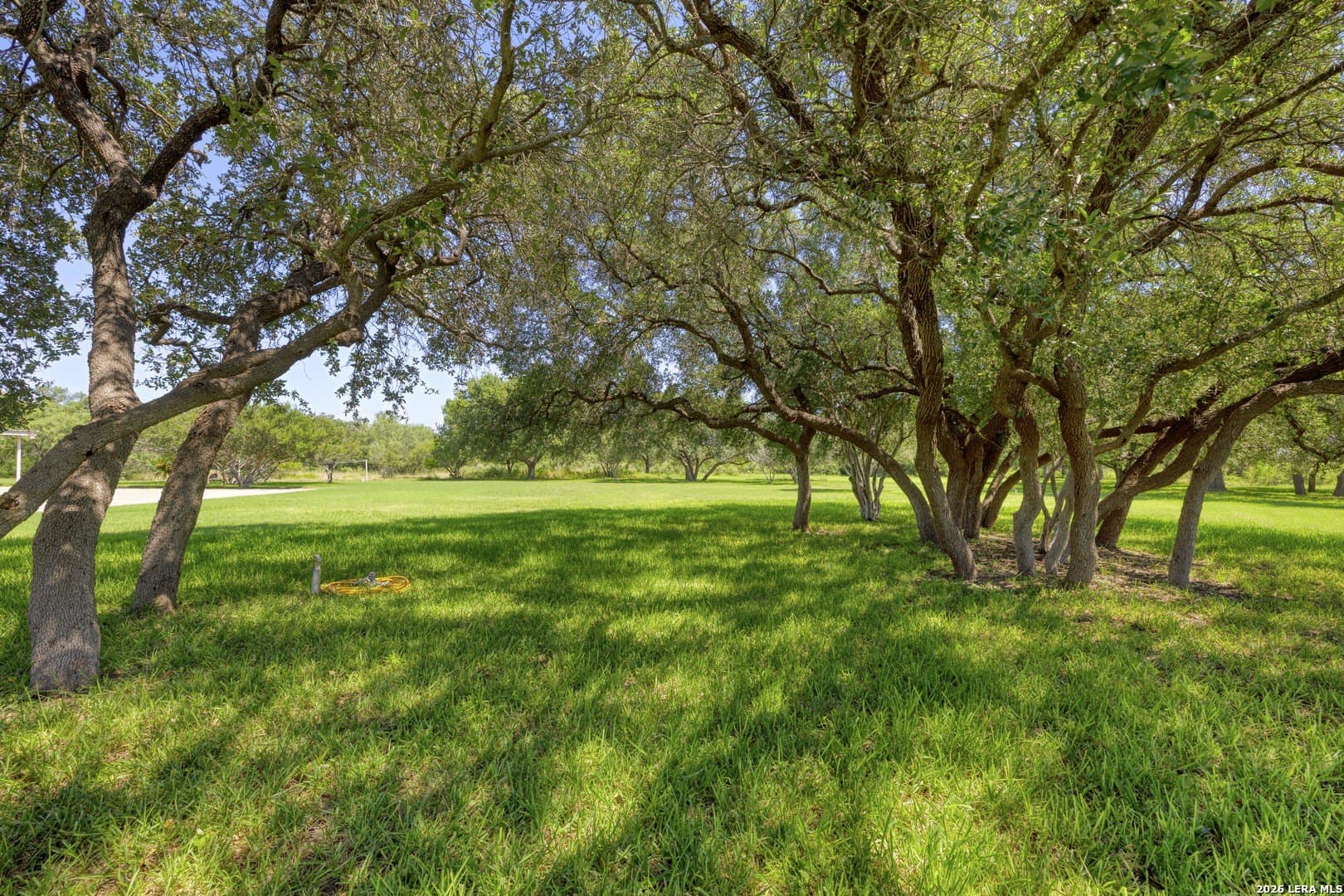 18.56 acres in Uvalde County - photo 28