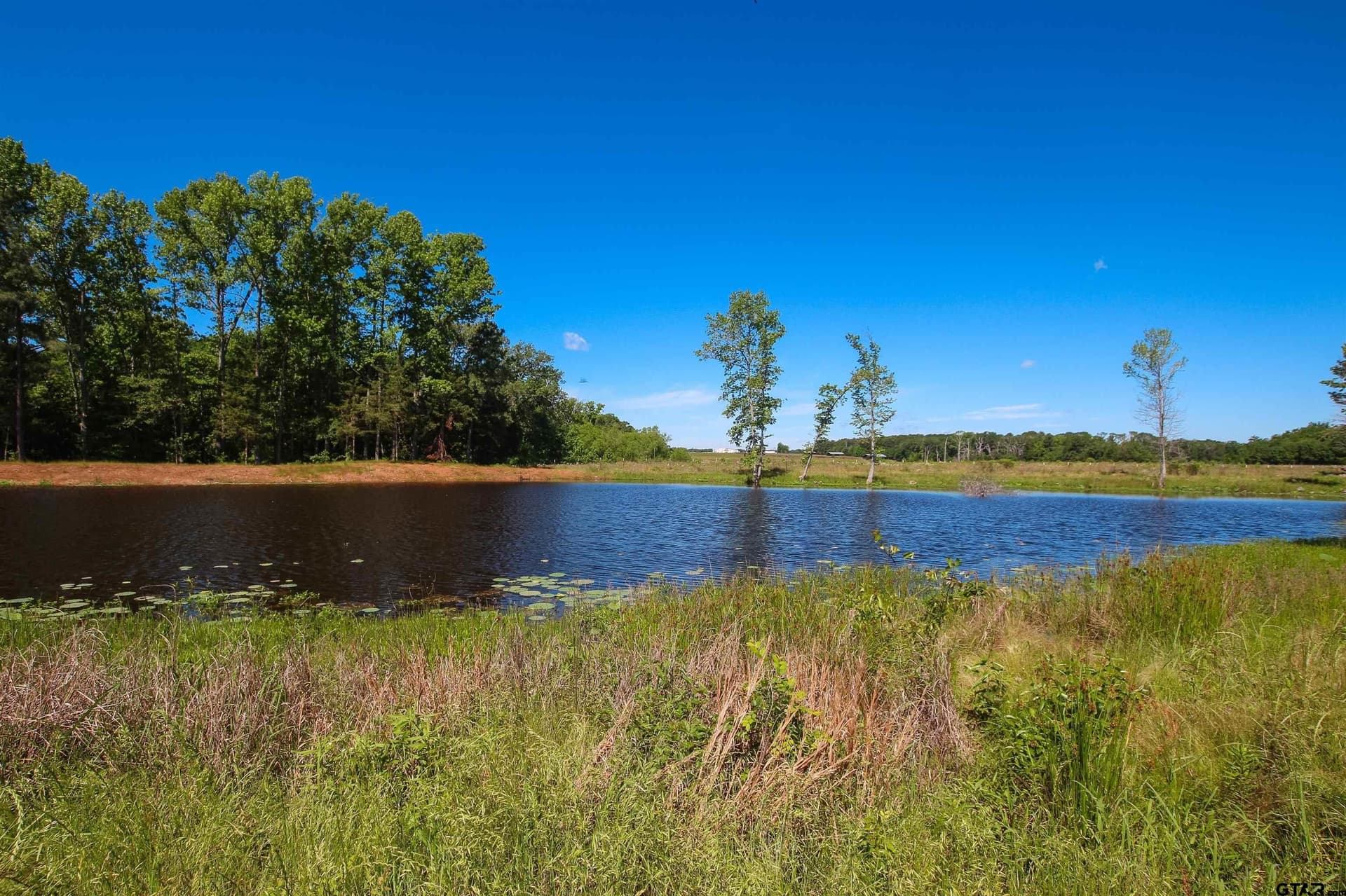 5.01 acres in Smith County gallery image 4