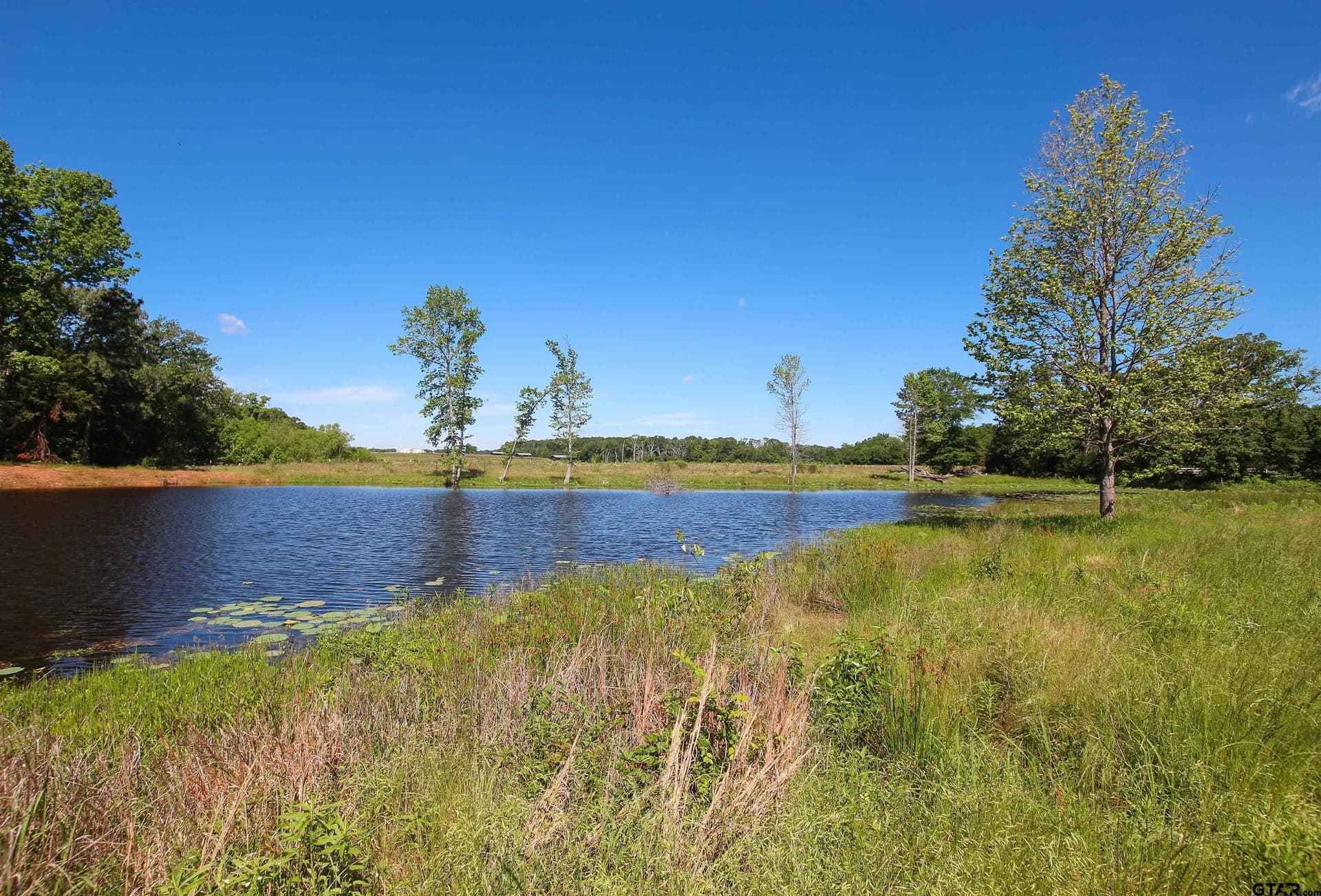 5.01 acres in Smith County gallery image 3