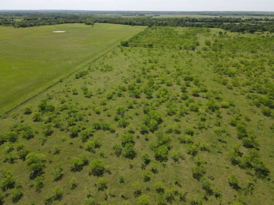 78 acres in Navarro County - photo 9