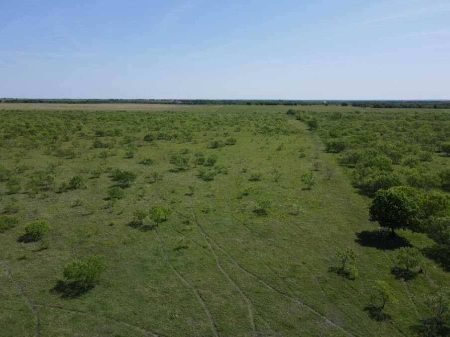 78 acres in Navarro County - photo 3