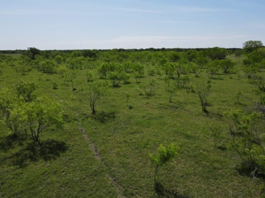 78 acres in Navarro County - photo 10