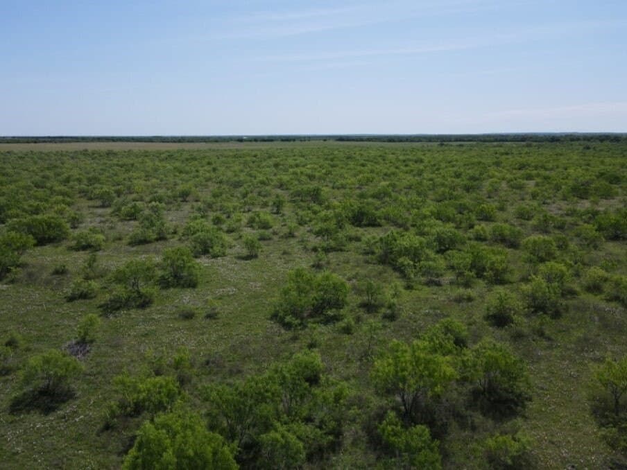 78 acres in Navarro County - photo 6