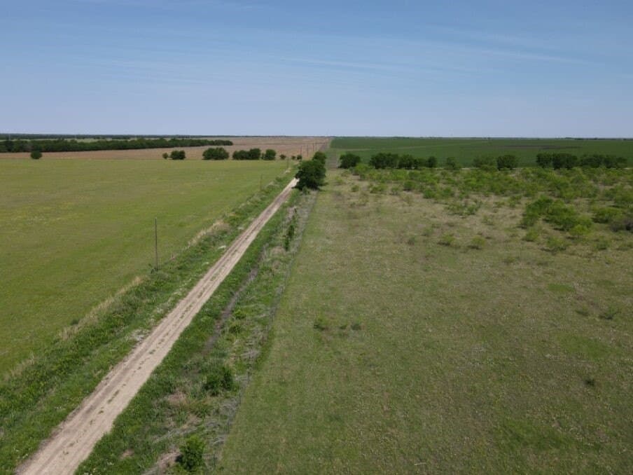 78 acres in Navarro County - photo 5