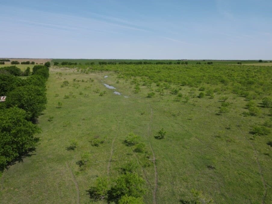 78 acres in Navarro County - photo 4