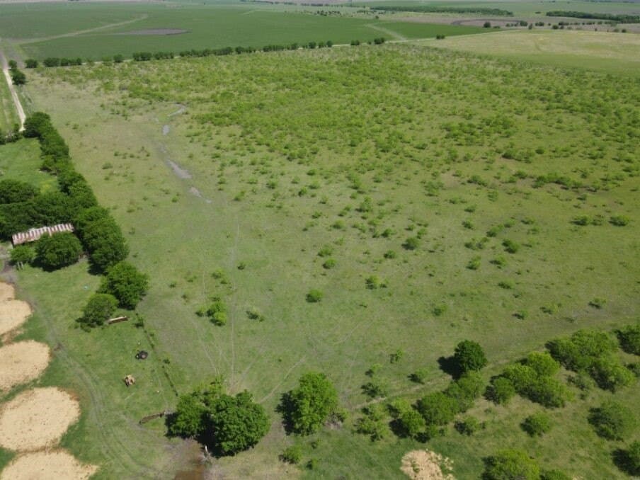 78 acres in Navarro County - photo 11