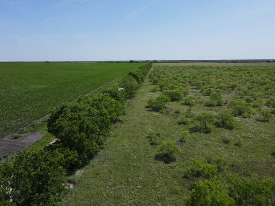78 acres in Navarro County - photo 7