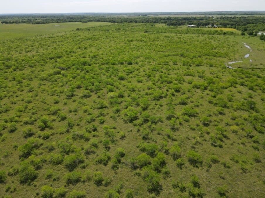 78 acres in Navarro County - photo 8