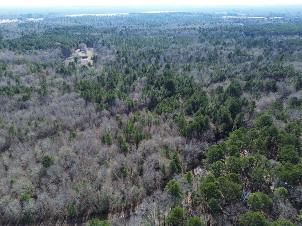9.8 acres in Wood County - photo 6