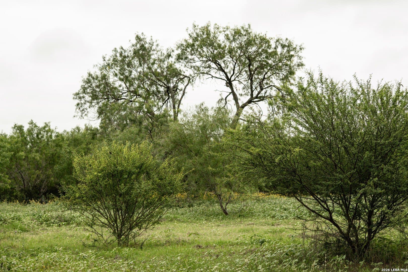 10.8 acres in Medina County gallery image 3